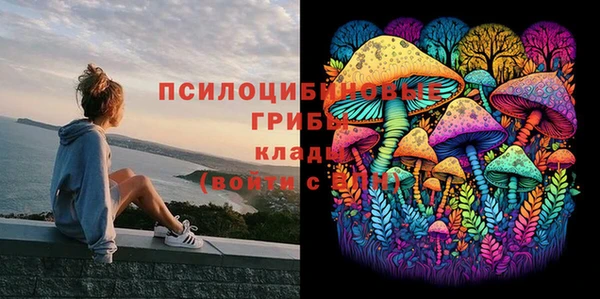 бутират Абинск
