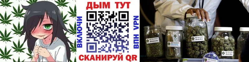 как найти наркотики  Полярный  дарк нет официальный сайт  Каннабис White Widow 
